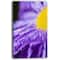Designart - Large Violet Flower Petal Close up - Large Flower Canvas Wall Art